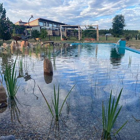 Hotel Albergue Bioclimatico Sabinares Del Arlanza Puentedura Eksteriør billede