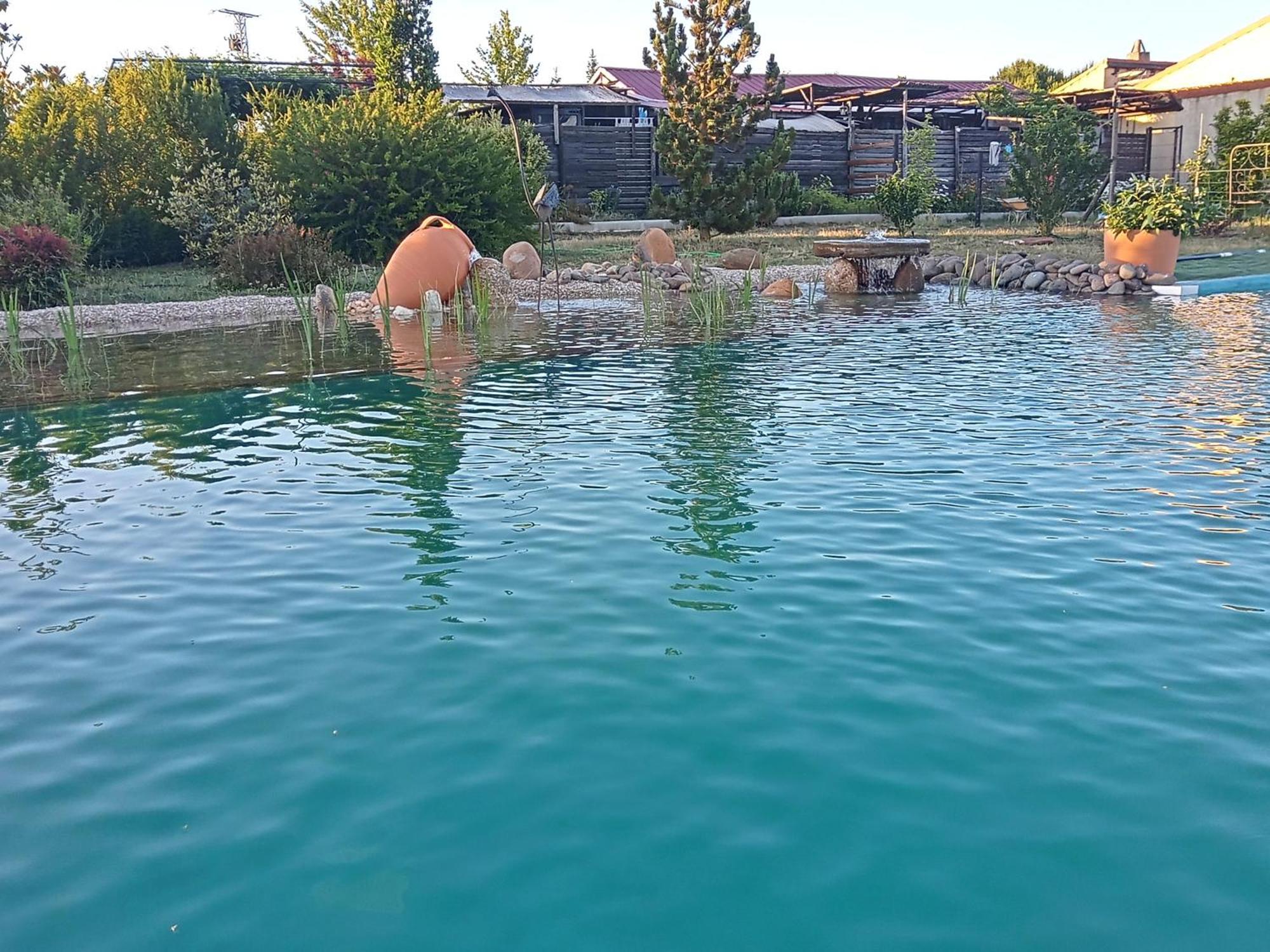 Hotel Albergue Bioclimatico Sabinares Del Arlanza Puentedura Eksteriør billede