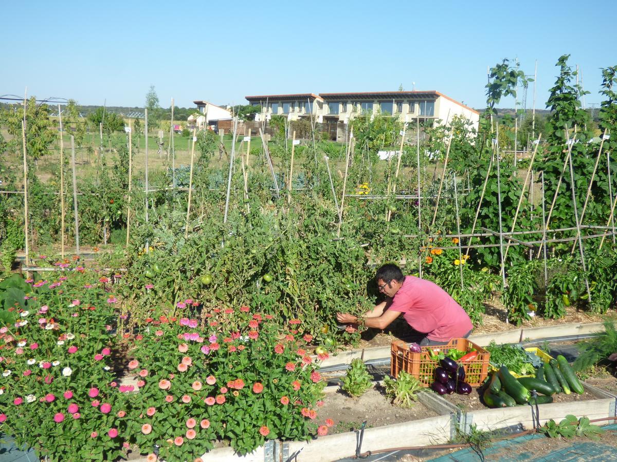 Hotel Albergue Bioclimatico Sabinares Del Arlanza Puentedura Eksteriør billede