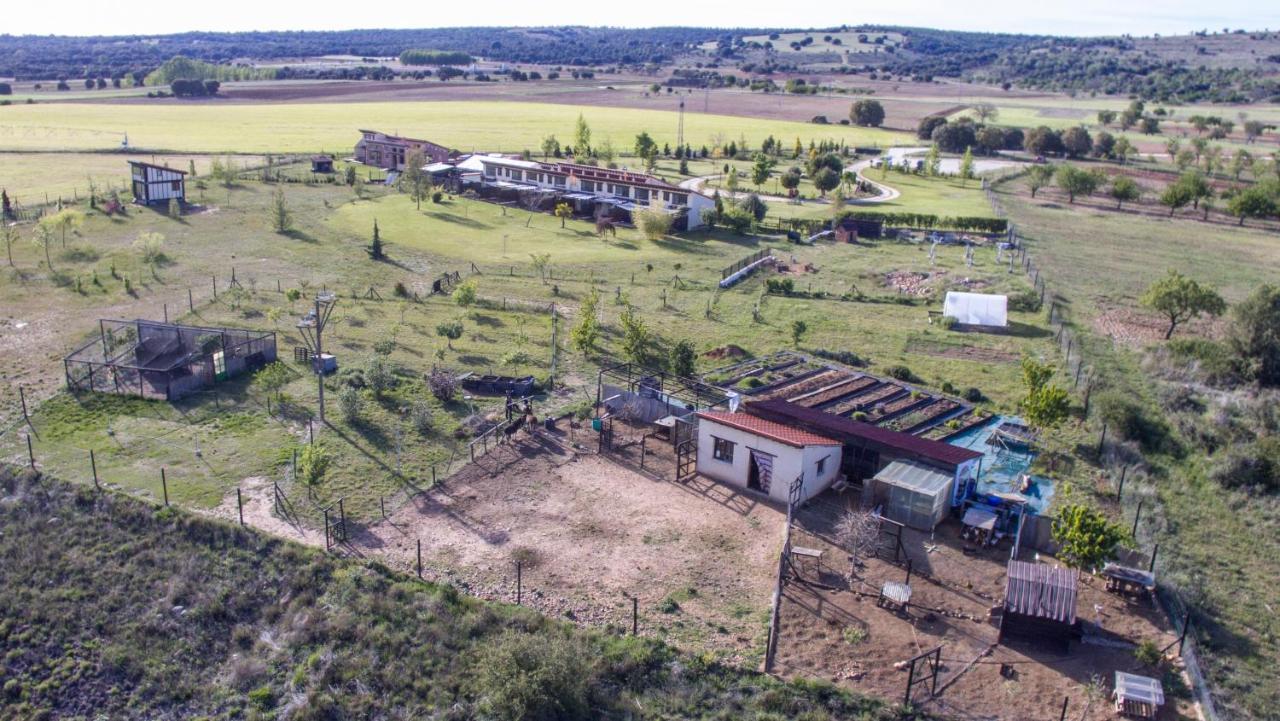 Hotel Albergue Bioclimatico Sabinares Del Arlanza Puentedura Eksteriør billede